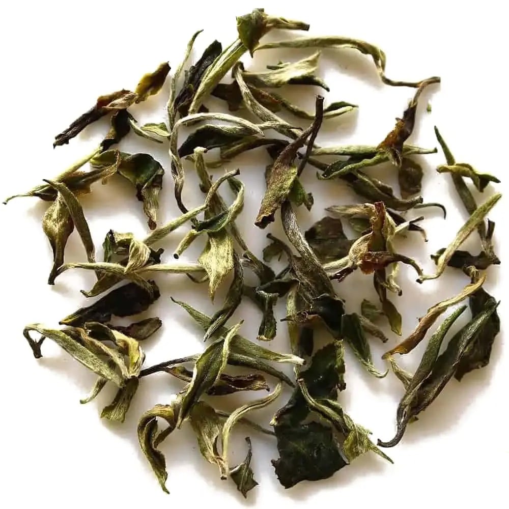 Blanc de l'Himalaya