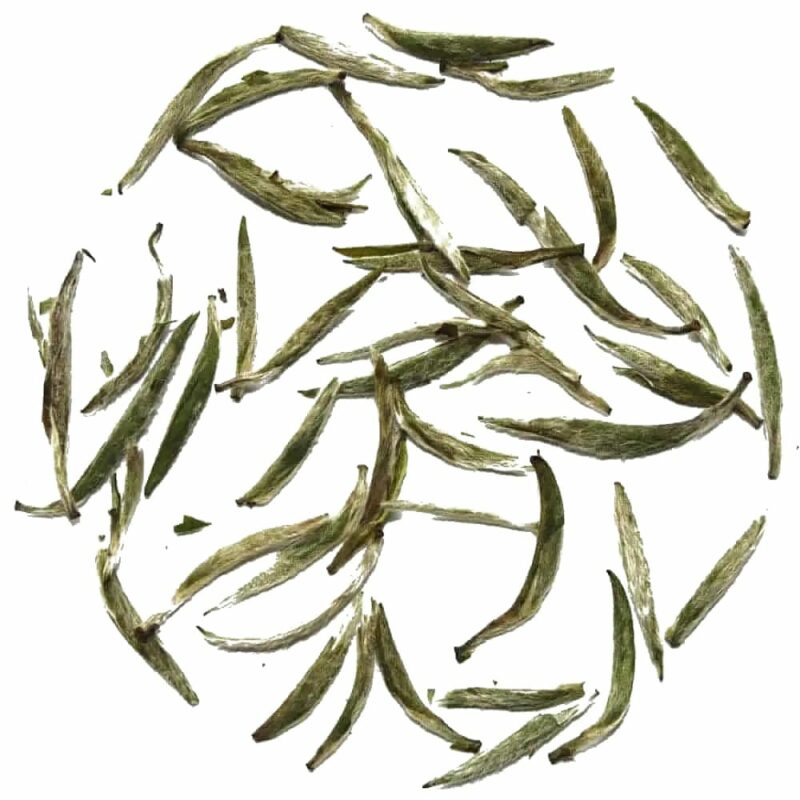 Baihao Yinzhen - Aiguille d'argent