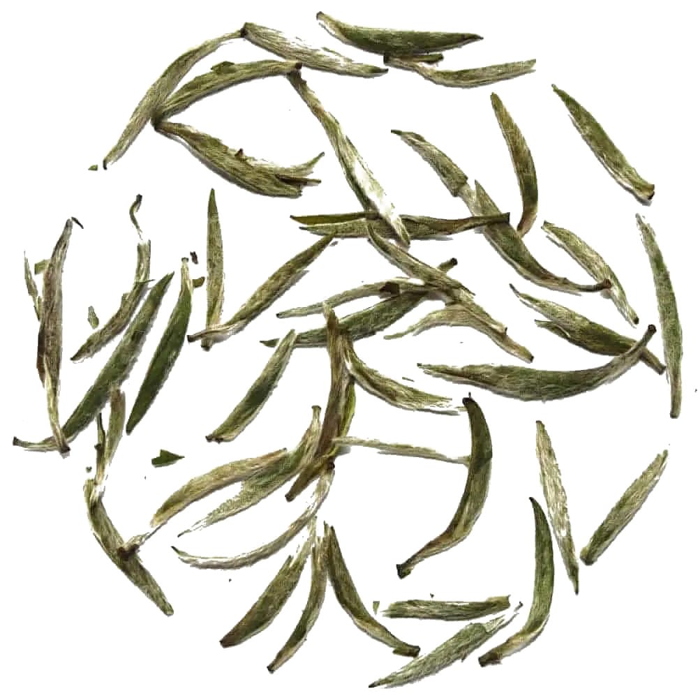 Baihao Yinzhen - Aiguille d'argent