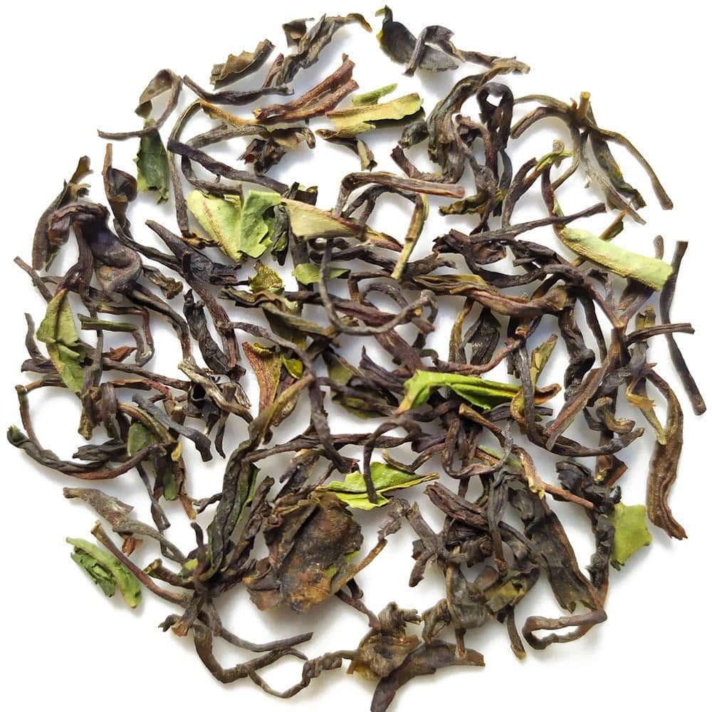 Nilgiri Frost