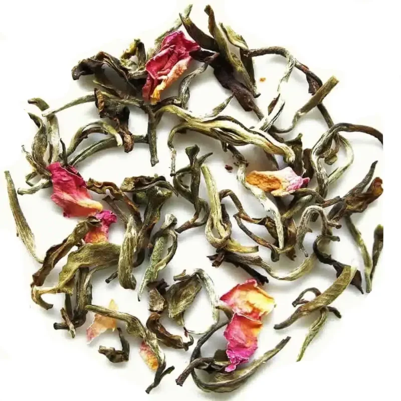 Rose pivoine blanche